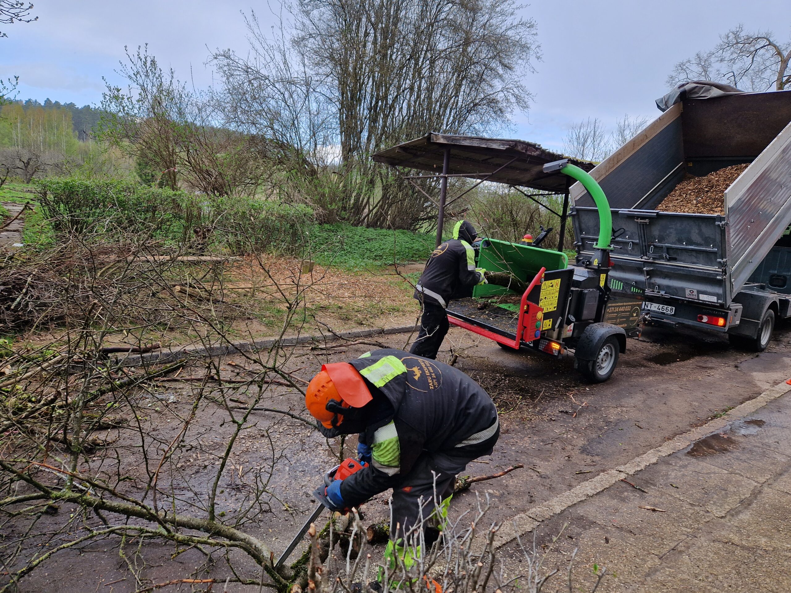 Zaru eksperti - Cutting, chipping and disposal of branches. Milling of ...
